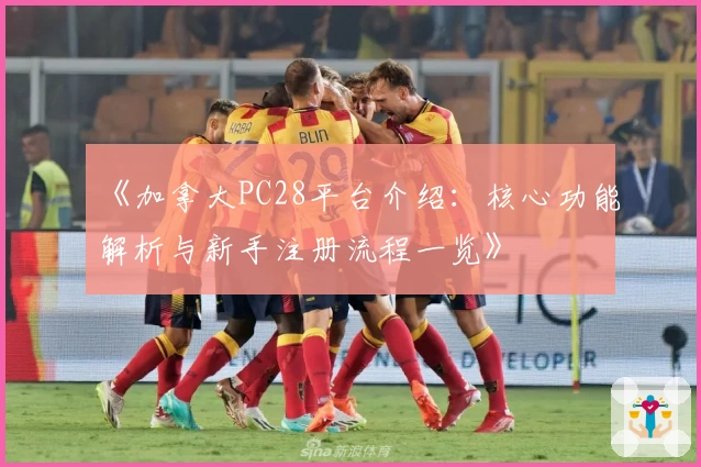 《加拿大PC28平台介绍：核心功能解析与新手注册流程一览》