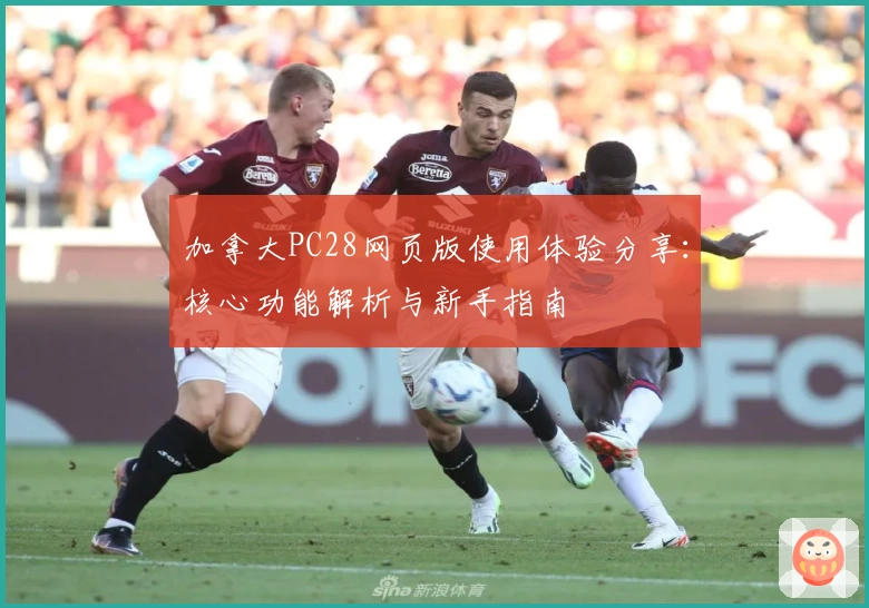 加拿大PC28网页版使用体验分享：核心功能解析与新手指南