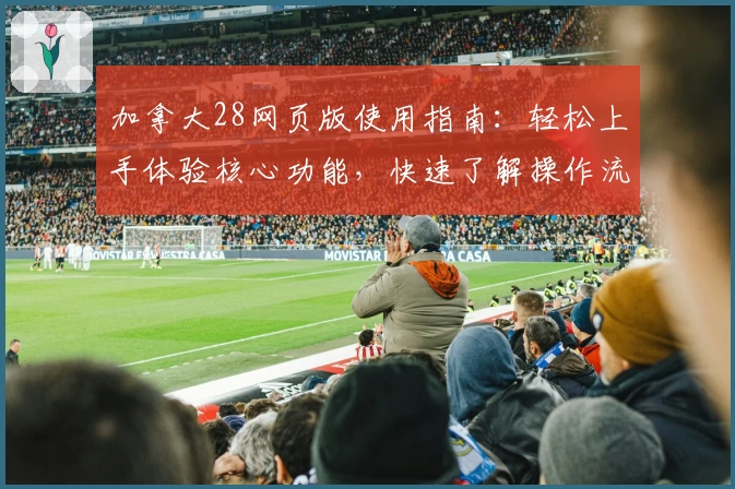 加拿大28网页版使用指南：轻松上手体验核心功能，快速了解操作流程与技巧