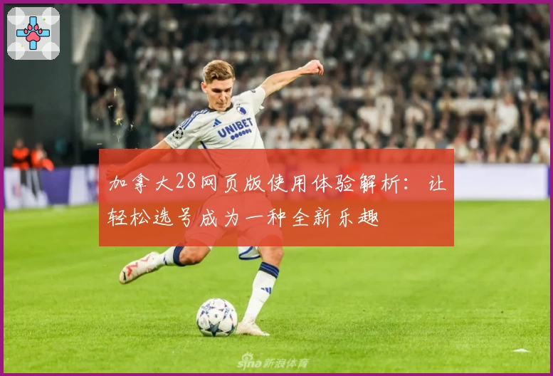 加拿大28网页版使用体验解析：让轻松选号成为一种全新乐趣