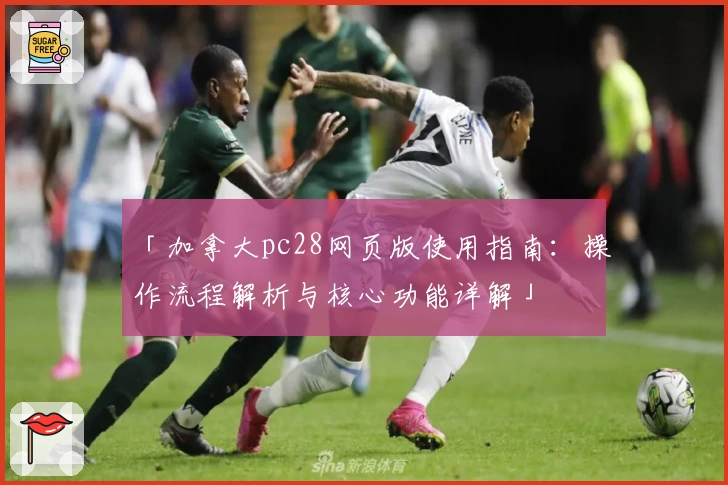 「加拿大pc28网页版使用指南：操作流程解析与核心功能详解」