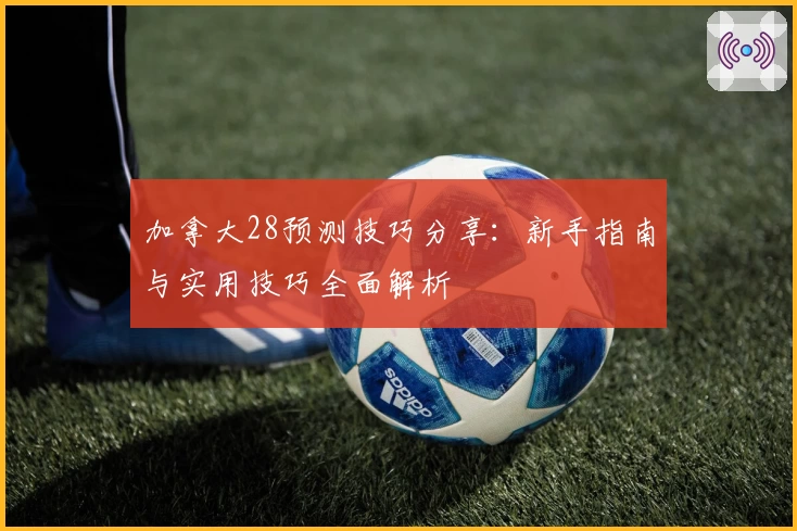 加拿大28预测技巧分享:新手指南与实用技巧全面解析