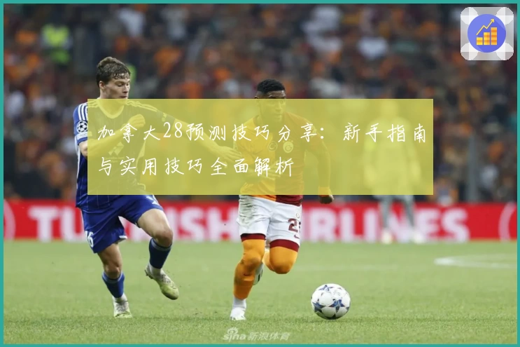 加拿大28预测技巧分享：新手指南与实用技巧全面解析