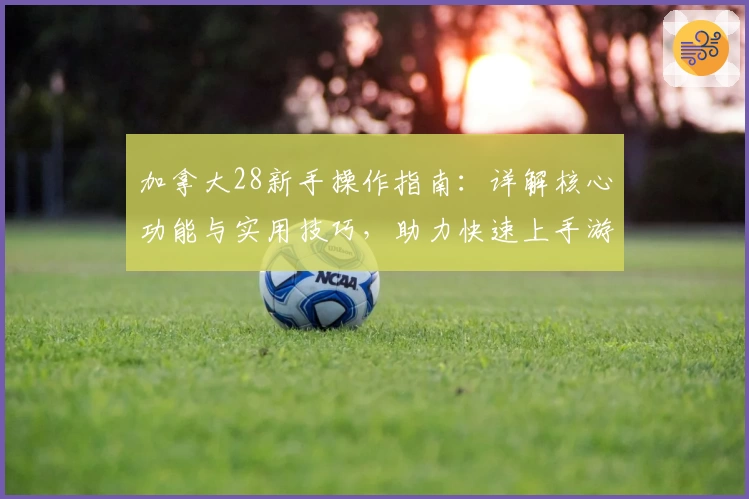 加拿大28新手操作指南：详解核心功能与实用技巧，助力快速上手游戏体验