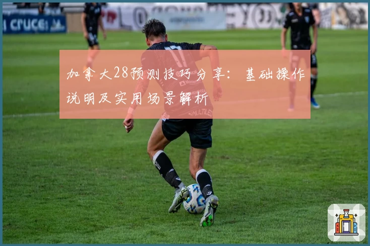 加拿大28预测技巧分享：基础操作说明及实用场景解析