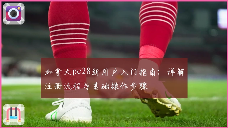 加拿大pc28新用户入门指南：详解注册流程与基础操作步骤