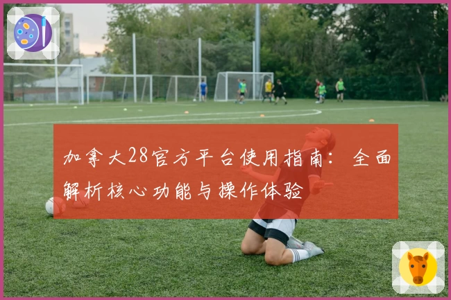 加拿大28官方平台使用指南:全面解析核心功能与操作体验