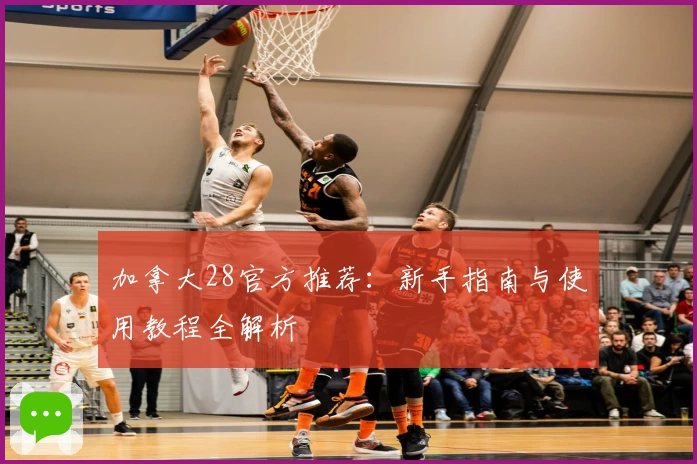 加拿大28官方推荐:新手指南与使用教程全解析